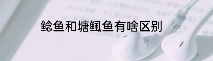 鲶鱼和塘鲺鱼有啥区别