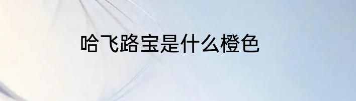 哈飞路宝是什么橙色