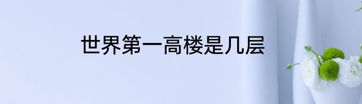 世界第一高楼是几层