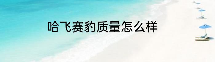 哈飞赛豹质量怎么样