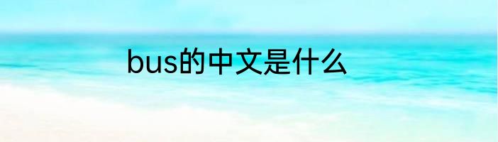 bus的中文是什么