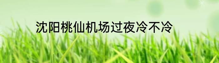 沈阳桃仙机场过夜冷不冷