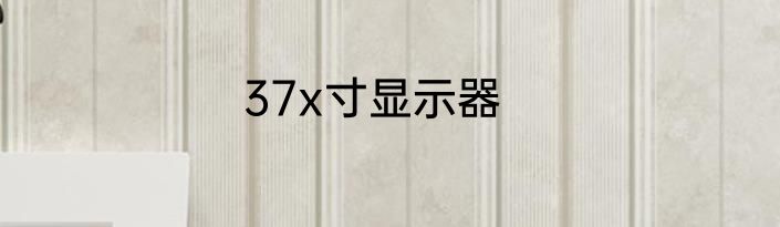 37x寸显示器