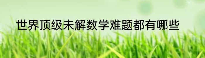 世界顶级未解数学难题都有哪些