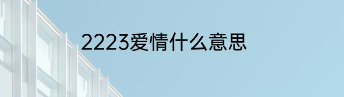2223爱情什么意思