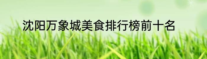 沈阳万象城美食排行榜前十名
