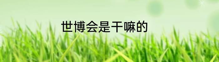 世博会是干嘛的