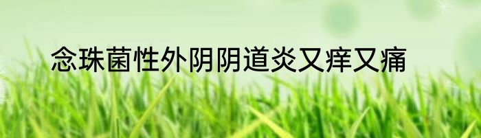念珠菌性外阴阴道炎又痒又痛