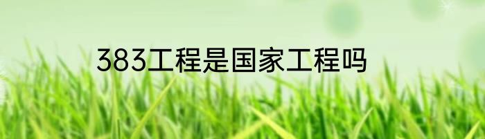 383工程是国家工程吗