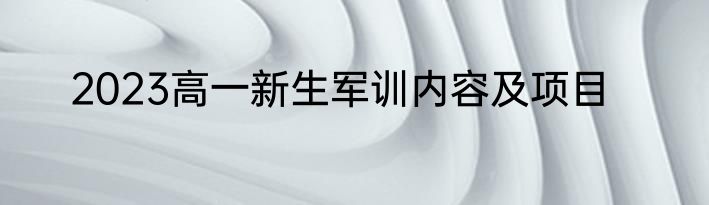 2023高一新生军训内容及项目