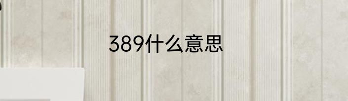 389什么意思