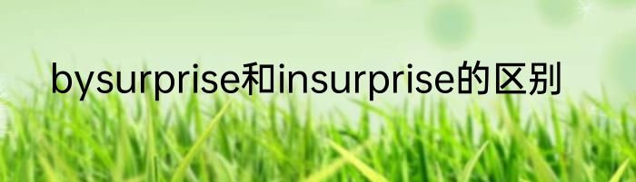bysurprise和insurprise的区别