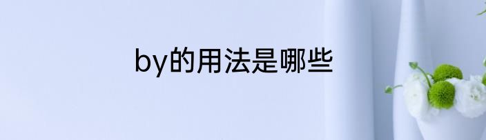 by的用法是哪些