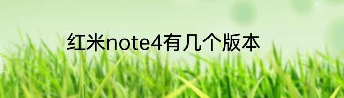 红米note4有几个版本