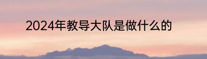 2024年教导大队是做什么的