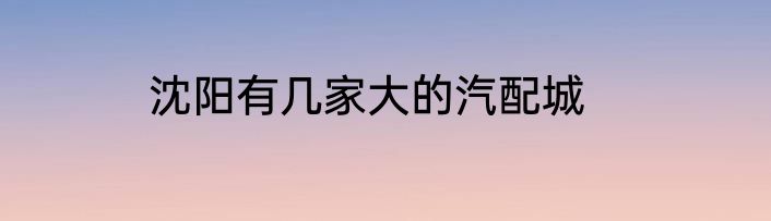 沈阳有几家大的汽配城