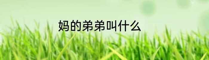 妈的弟弟叫什么