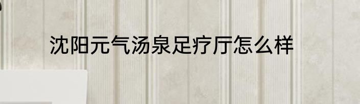 沈阳元气汤泉足疗厅怎么样