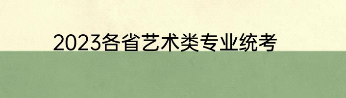 2023各省艺术类专业统考