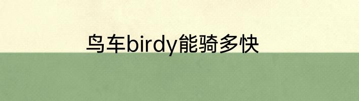 鸟车birdy能骑多快