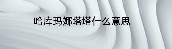 哈库玛娜塔塔什么意思