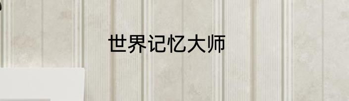世界记忆大师
