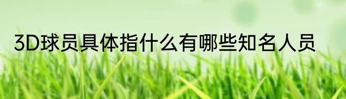 3D球员具体指什么有哪些知名人员