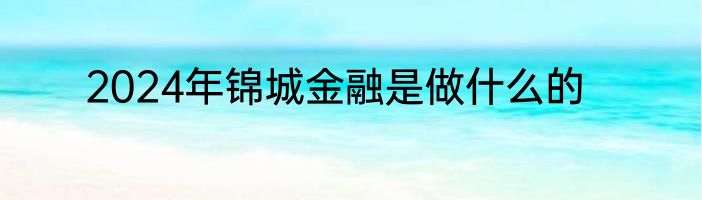 2024年锦城金融是做什么的
