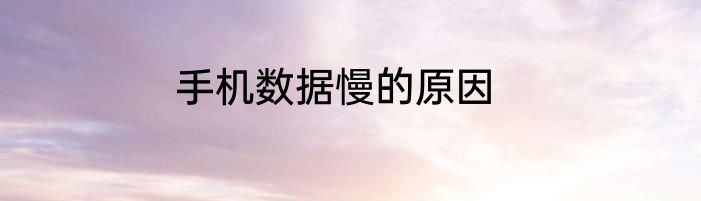 手机数据慢的原因