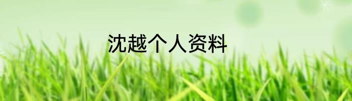 沈越个人资料