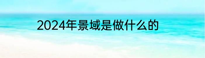 2024年景域是做什么的