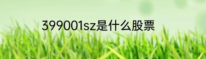 399001sz是什么股票