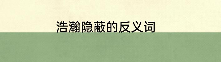 浩瀚隐蔽的反义词