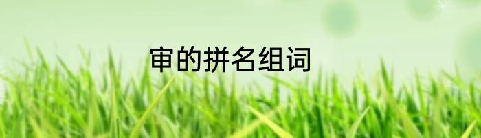 审的拼名组词