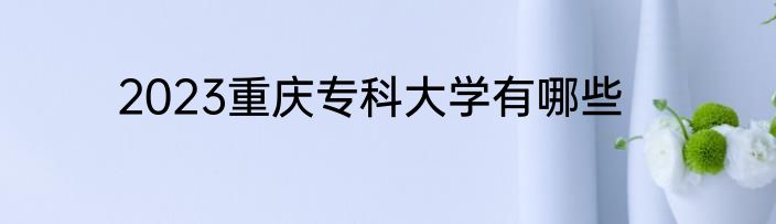 2023重庆专科大学有哪些