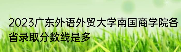 2023广东外语外贸大学南国商学院各省录取分数线是多