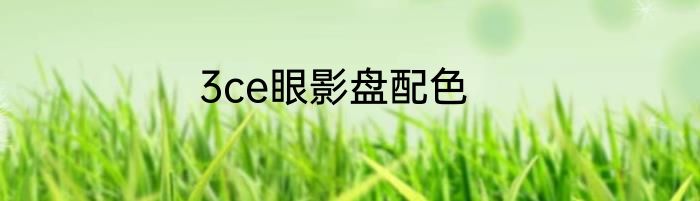 3ce眼影盘配色