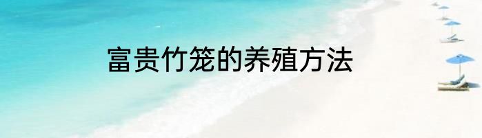 富贵竹笼的养殖方法