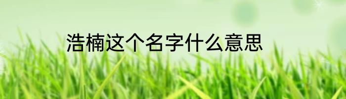 浩楠这个名字什么意思