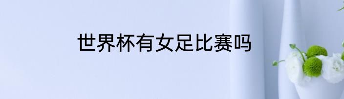 世界杯有女足比赛吗