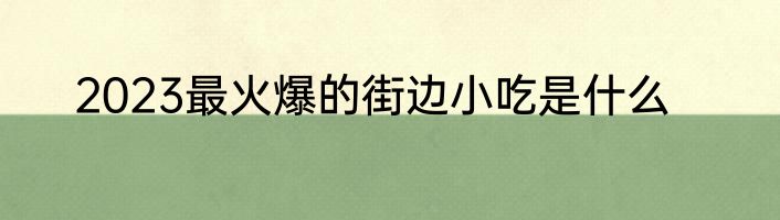 2023最火爆的街边小吃是什么