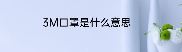 3M口罩是什么意思