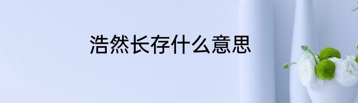 浩然长存什么意思