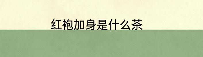 红袍加身是什么茶