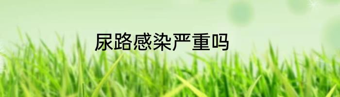 尿路感染严重吗