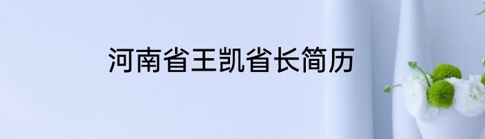 河南省王凯省长简历