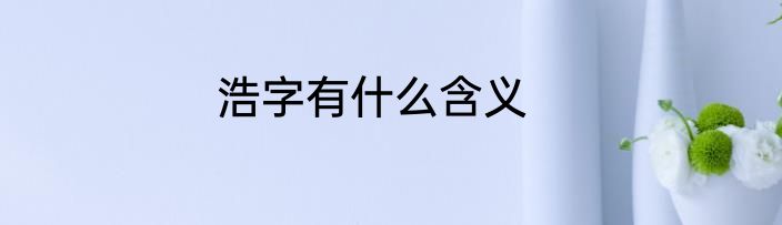 浩字有什么含义