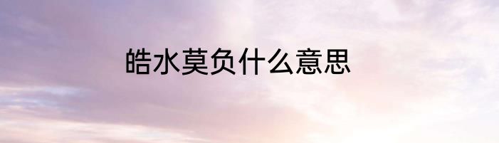 皓水莫负什么意思