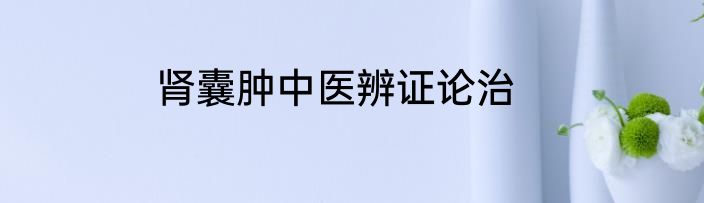 肾囊肿中医辨证论治