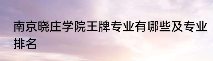 南京晓庄学院王牌专业有哪些及专业排名